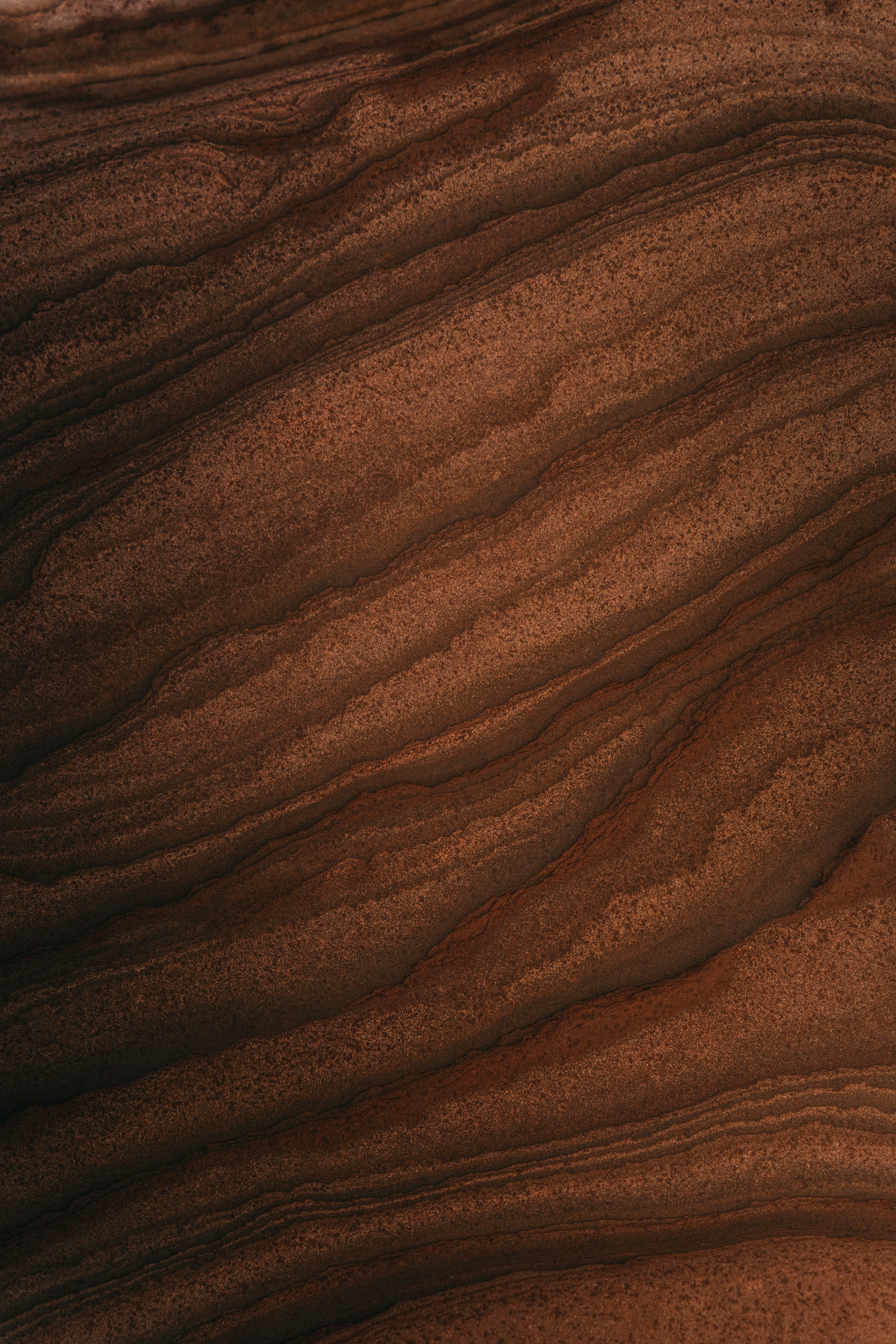 Black Walnut wood grain